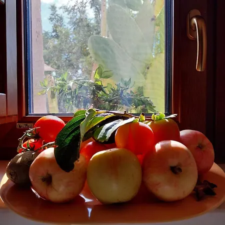 Via Dei Trulli Bed & Breakfast