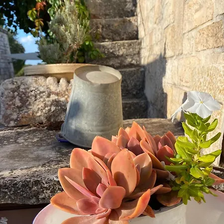 فندق مبيت وإفطار Via Dei Trulli