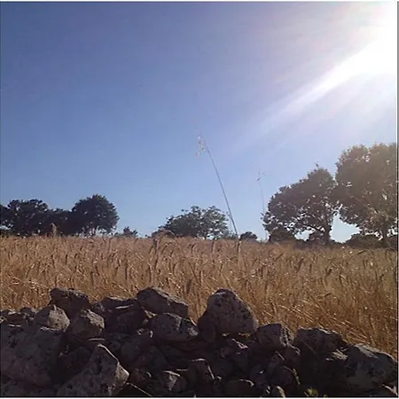 Via Dei Trulli B&B 치스테르니노